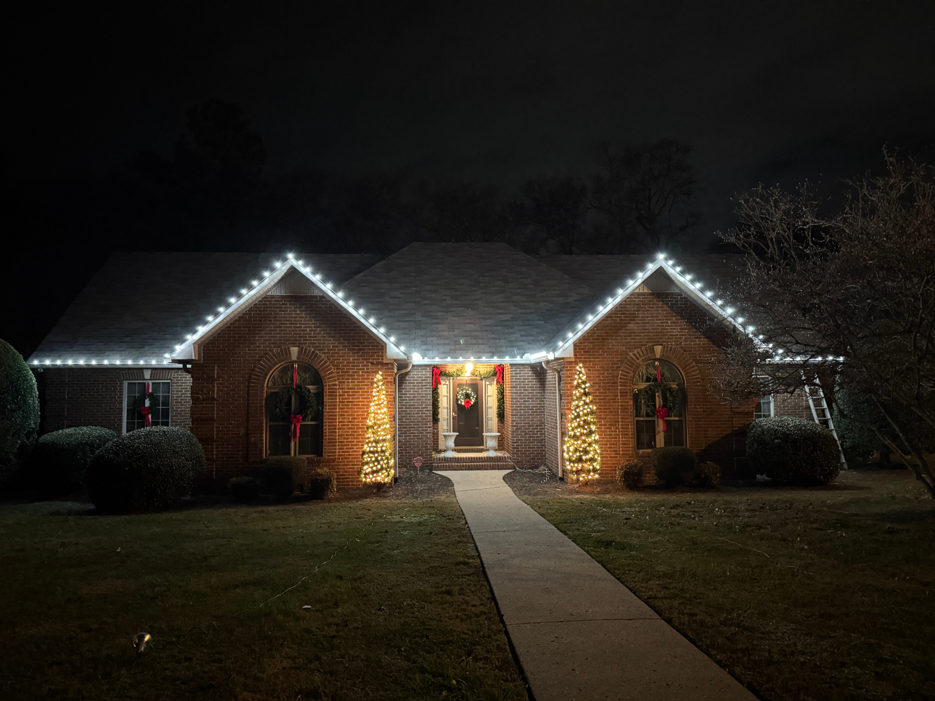 Patsy home cool white roofline