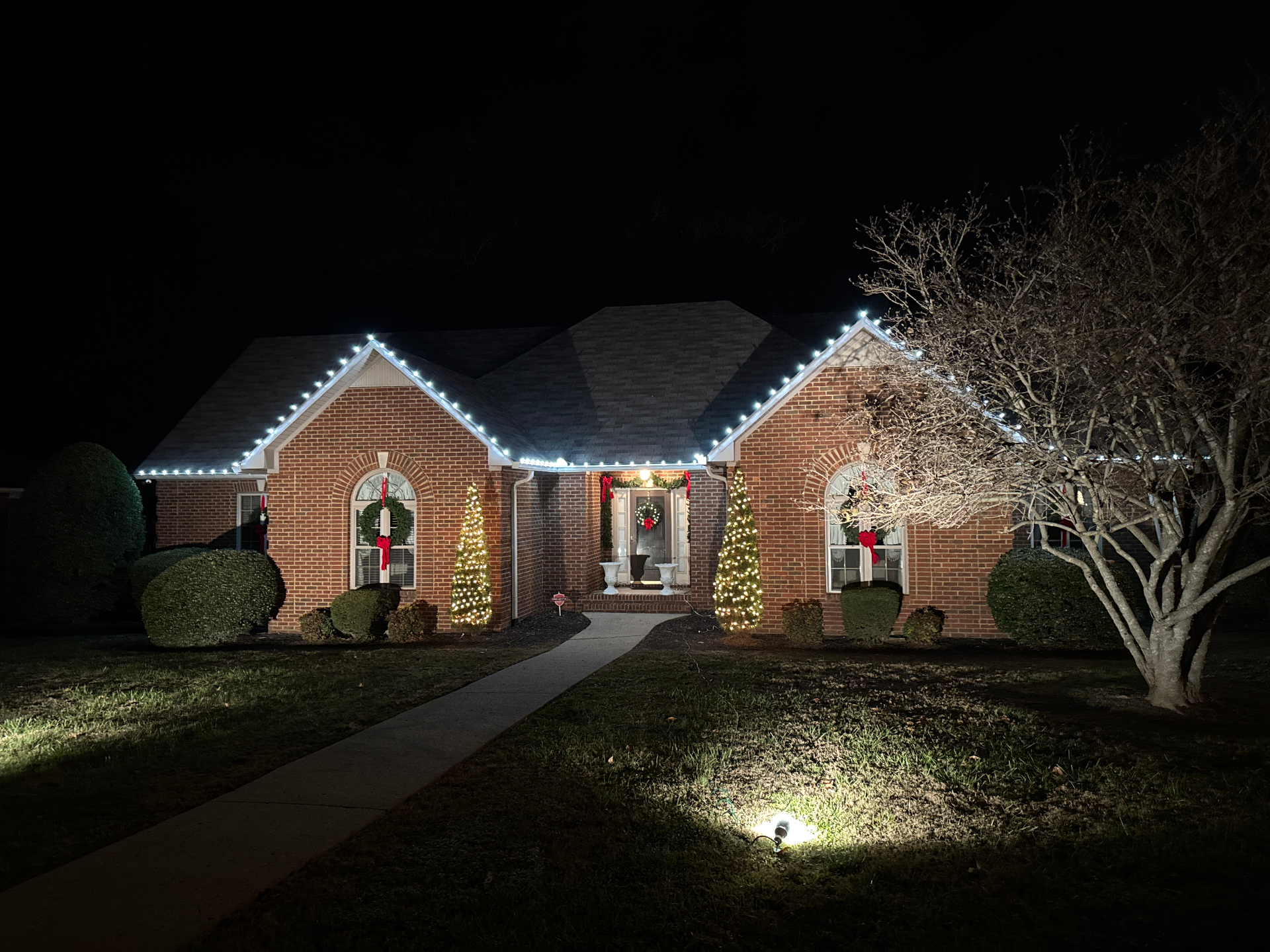 Patsy home cool white with lit trees and wreaths