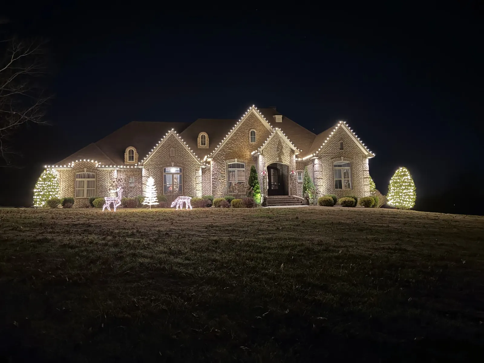 Jason home warm white with lit trees and decorations