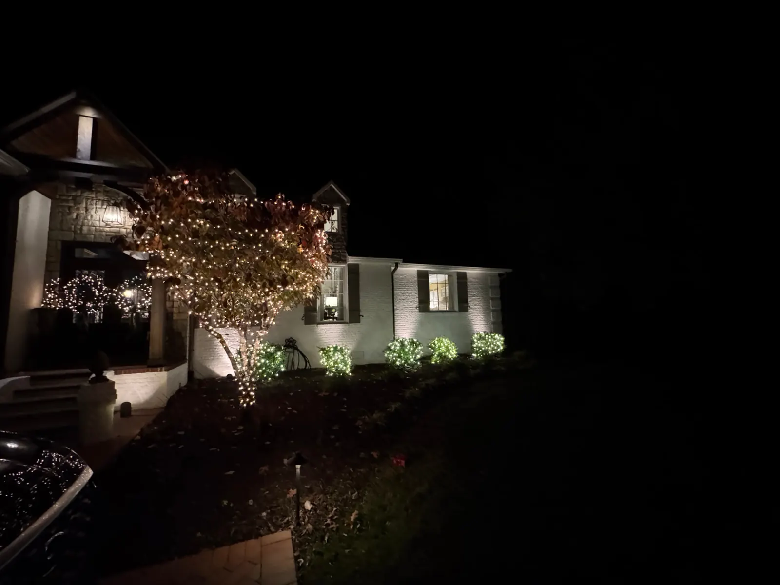 Edwards home warm white tree lighting detail